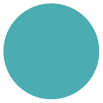 Turquoise Journal