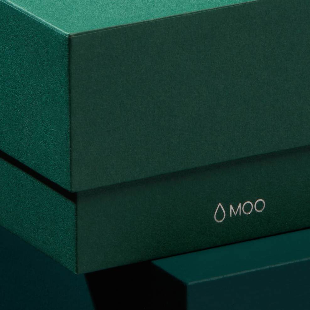 MOO Display Box with Logo on Back