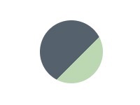 Charcoal_Grey_-_Mint.jpeg
